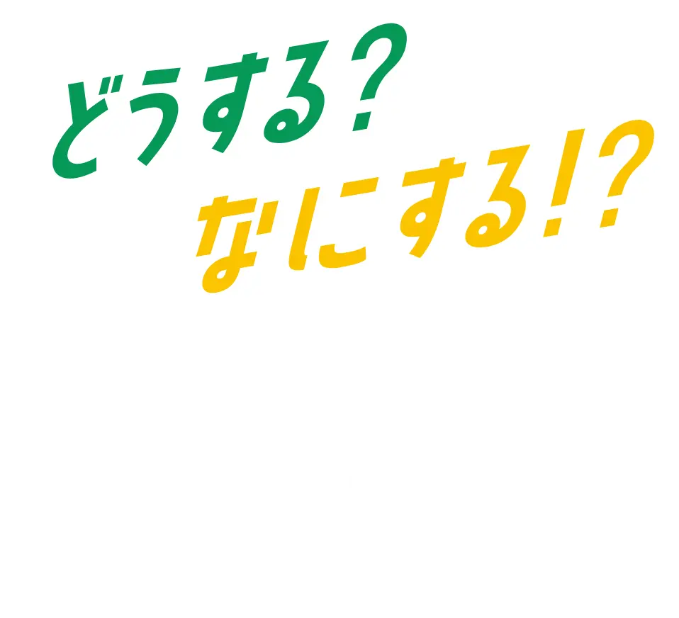 どうする？なにする！？三瓶山 さんべ荘レコメンド！三瓶エリア観光モデルコース